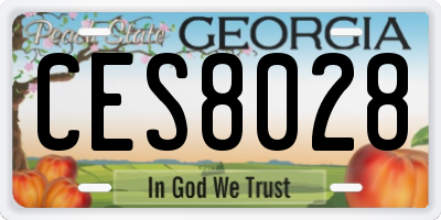 GA license plate CES8028
