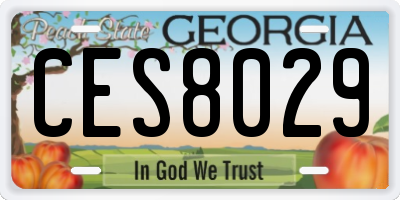 GA license plate CES8029