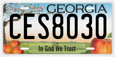 GA license plate CES8030