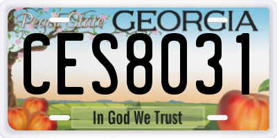 GA license plate CES8031