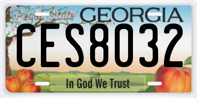 GA license plate CES8032