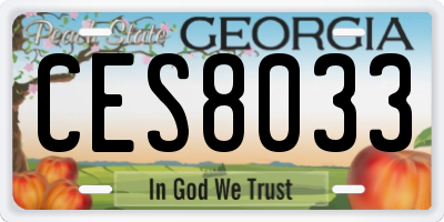 GA license plate CES8033
