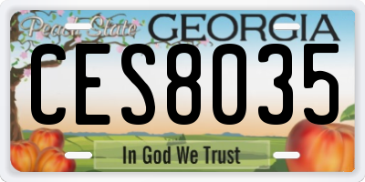 GA license plate CES8035