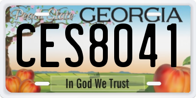 GA license plate CES8041