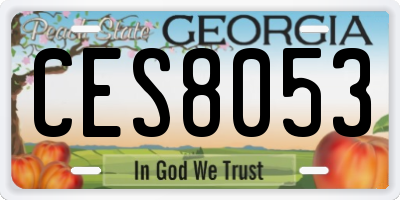 GA license plate CES8053
