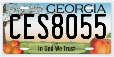GA license plate CES8055