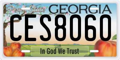 GA license plate CES8060