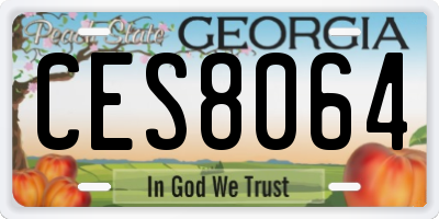 GA license plate CES8064