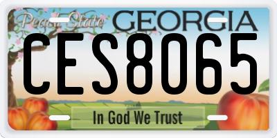 GA license plate CES8065