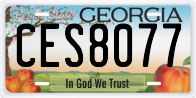 GA license plate CES8077