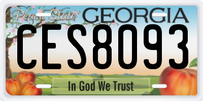 GA license plate CES8093