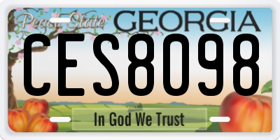 GA license plate CES8098