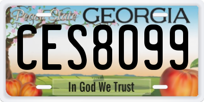 GA license plate CES8099