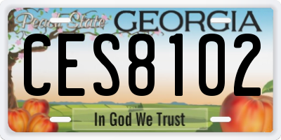 GA license plate CES8102