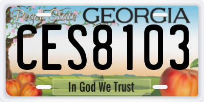 GA license plate CES8103