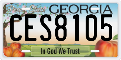 GA license plate CES8105