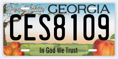 GA license plate CES8109