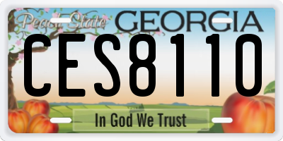 GA license plate CES8110