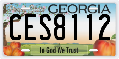 GA license plate CES8112
