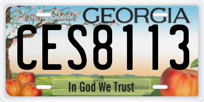 GA license plate CES8113