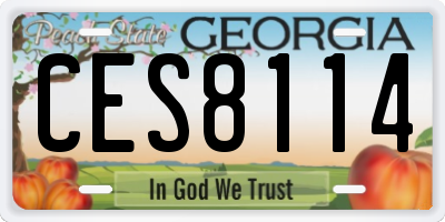 GA license plate CES8114
