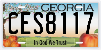 GA license plate CES8117