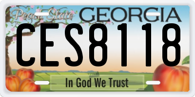 GA license plate CES8118