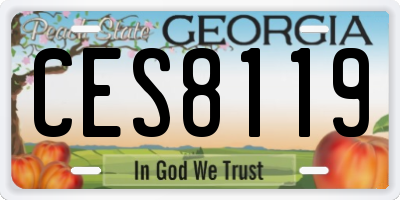 GA license plate CES8119