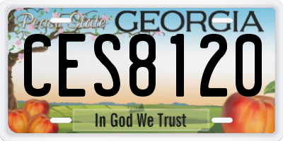 GA license plate CES8120