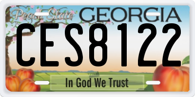 GA license plate CES8122