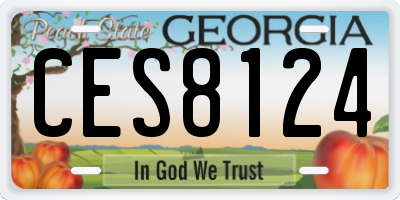 GA license plate CES8124