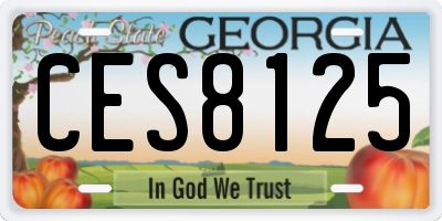 GA license plate CES8125