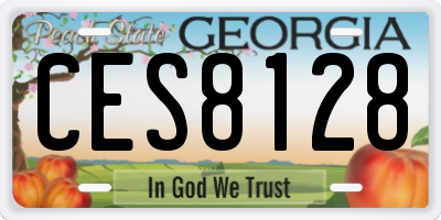 GA license plate CES8128