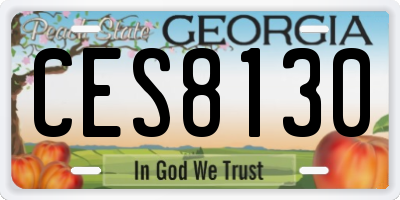 GA license plate CES8130