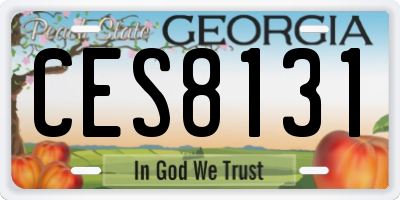 GA license plate CES8131