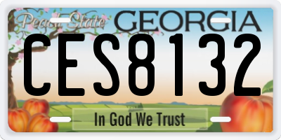 GA license plate CES8132
