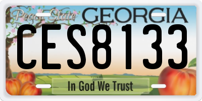 GA license plate CES8133