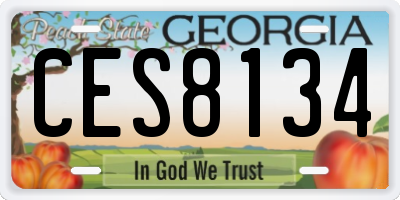 GA license plate CES8134