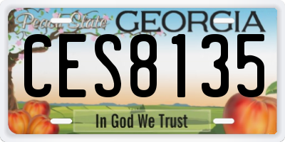GA license plate CES8135