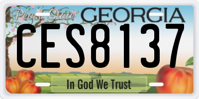 GA license plate CES8137