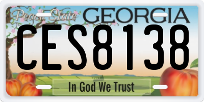GA license plate CES8138