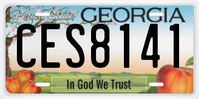 GA license plate CES8141