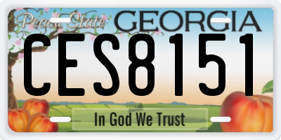 GA license plate CES8151