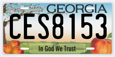 GA license plate CES8153