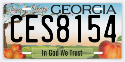 GA license plate CES8154