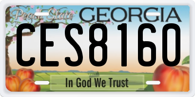 GA license plate CES8160