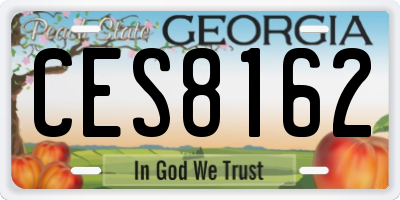 GA license plate CES8162