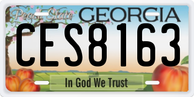 GA license plate CES8163