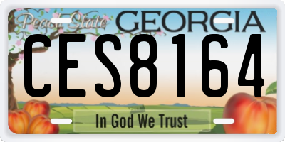 GA license plate CES8164