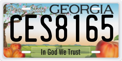 GA license plate CES8165
